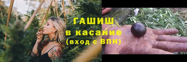 гашик Богданович