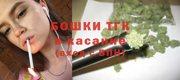 гашик Богданович