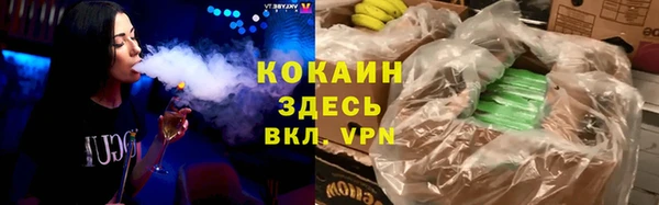 молекула духа Богородск