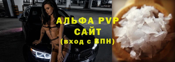 гашик Богданович
