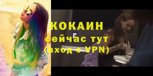 гашик Богданович