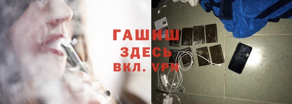 гашик Богданович