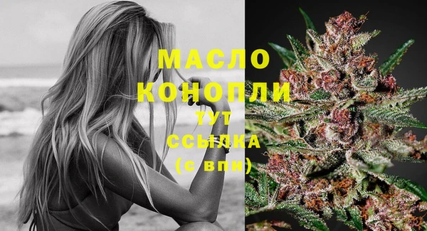 молекула духа Богородск