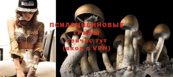 стафф Беломорск