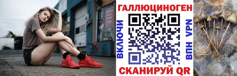 где купить наркотик  Острогожск  кракен ссылки  Псилоцибиновые грибы ЛСД 
